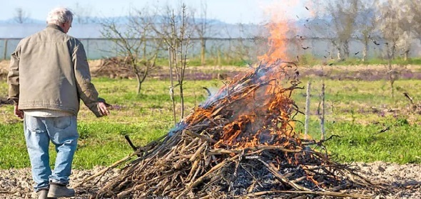 Пожарные патрулируют леса: не разводите костры