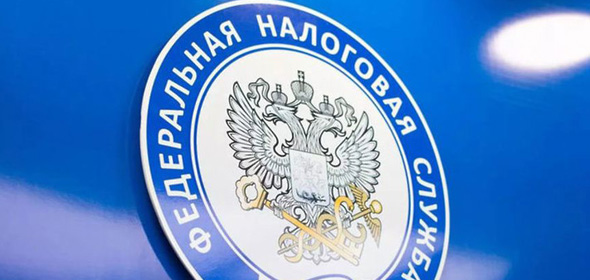 ФНС России разъясняет порядок подачи сведений об имуществе