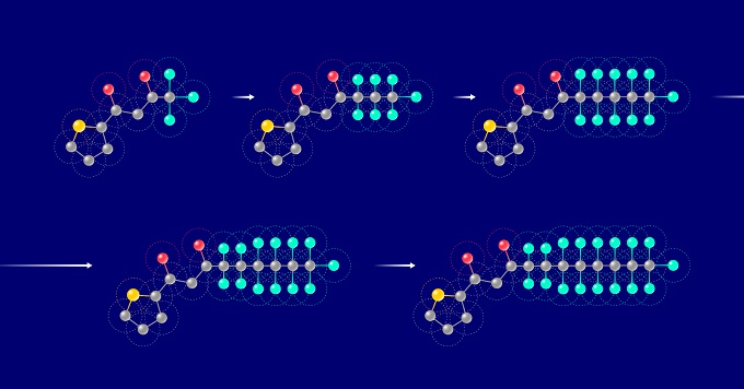 Рисунок 1. Удлинение фторированной цепочки углеродных атомов в боковой цепи структуры молекулы теноилтрифторацетона. Серым цветом изображены атомы углерода, желтым — серы, красным — кислорода, голубым — фтора. Пресс-служба МФТИ